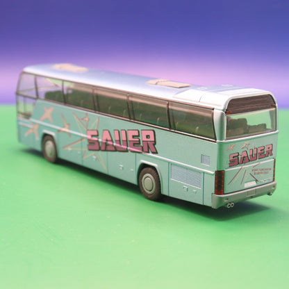 Neoplan Cityliner - Sauer - (Gebraucht, Ohne OVP) Modellbus Rietze