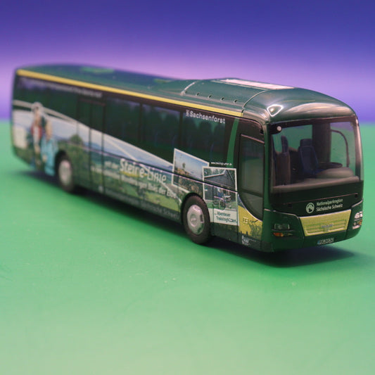 MAN Lions Regio - OVPS Oberelbische Verkehrsgesellschaft Pirna Sebitz mbH - Nationalparkregion Sächsische Schweiz - Modellbus Rietze