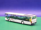 Setra 315 NF - Regio Linie - Modellbus Rietze 61382